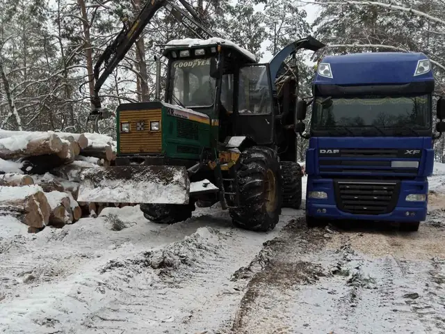 Робота в лісі взимку